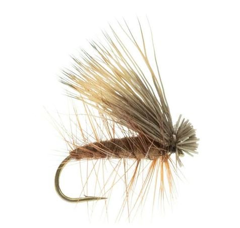 Elk Caddis Brown - Flies - Fly Fish Food