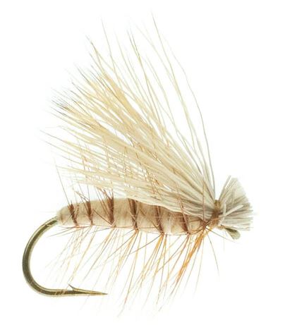 Elk Caddis Tan - Flies - Fly Fish Food