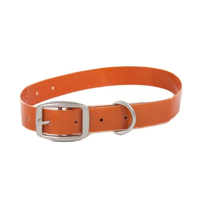 Fishpond Salty Dog Collar - Cutthroat Orange - Accessories &amp; Misc - Fly Fish Food