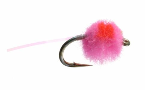 Flashtail Mini Egg - Pink - Flies - Fly Fish Food