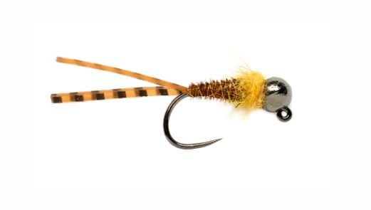 Flaglers Euro Golden Stone Fly - Flies - Fly Fish Food