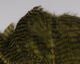 Grizzly Soft Hackle Marabou Patch - Feathers & Marabou - Fly Fish Food