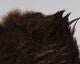 Grizzly Soft Hackle Marabou Patch - Feathers & Marabou - Fly Fish Food