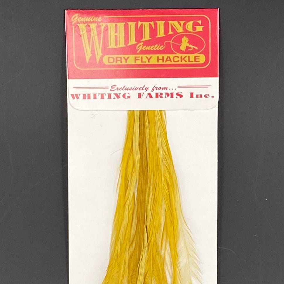 Whiting 100 Pack Dry Fly Hackle - White dyed Golden Olive - 12 - Hackle - Fly Fish Food
