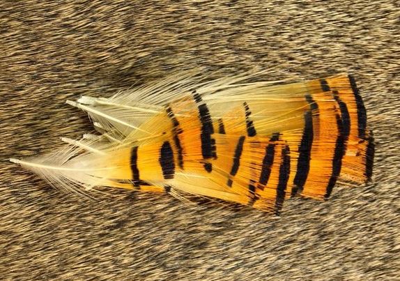 Golden Pheasant Tippets - Feathers & Marabou - Fly Fish Food