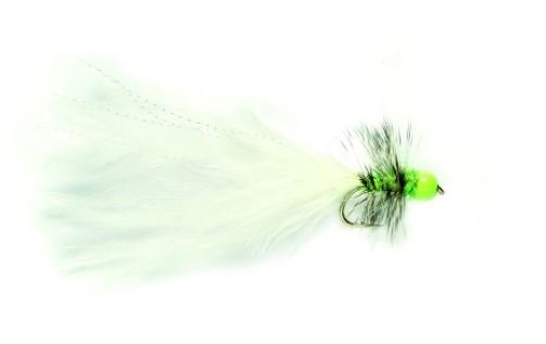 Hot Taddy Cat - Flies - Fly Fish Food