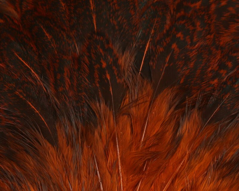 India Hen Back - Hackle - Fly Fish Food