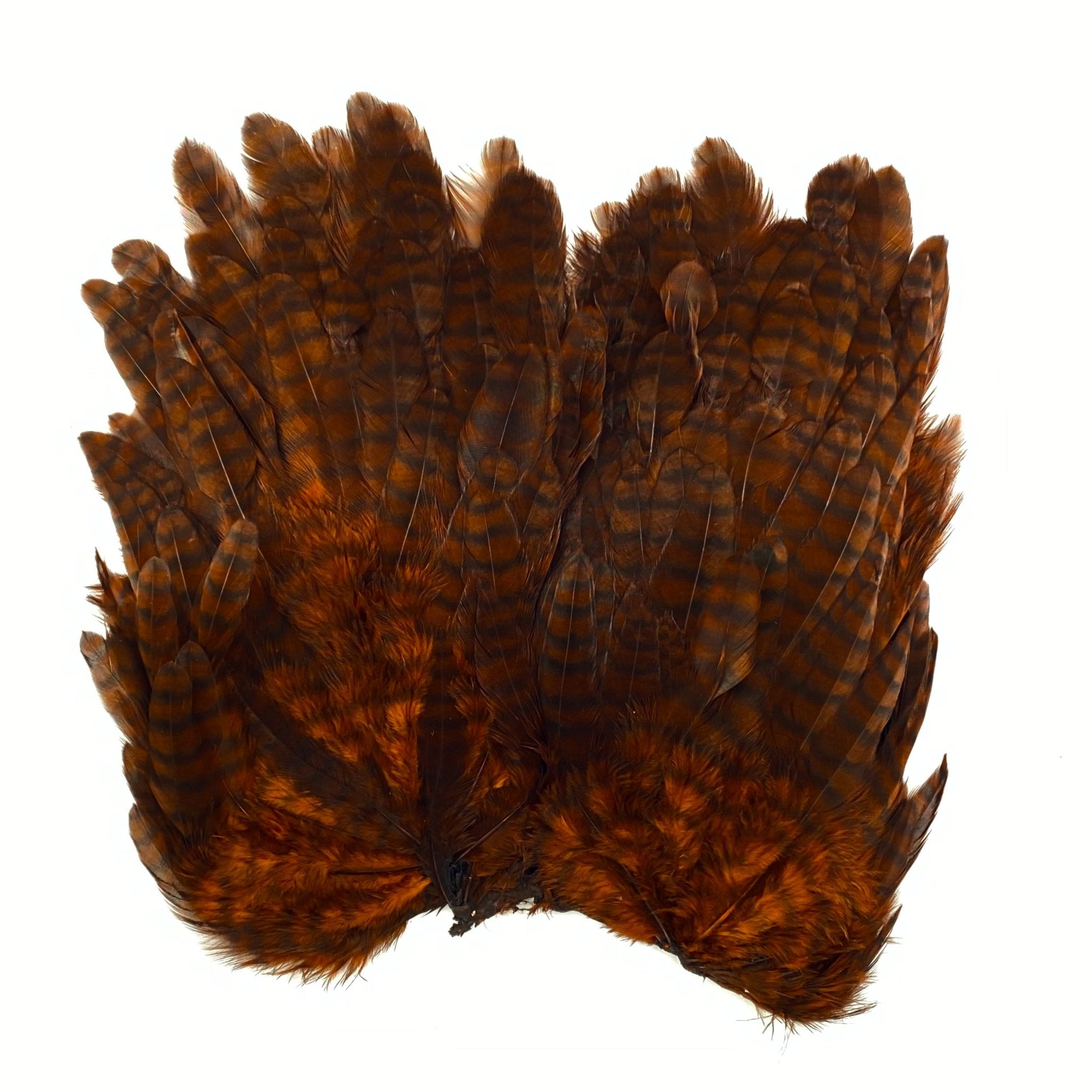 Whiting Bugger Hackle Patch - Hackle - Fly Fish Food