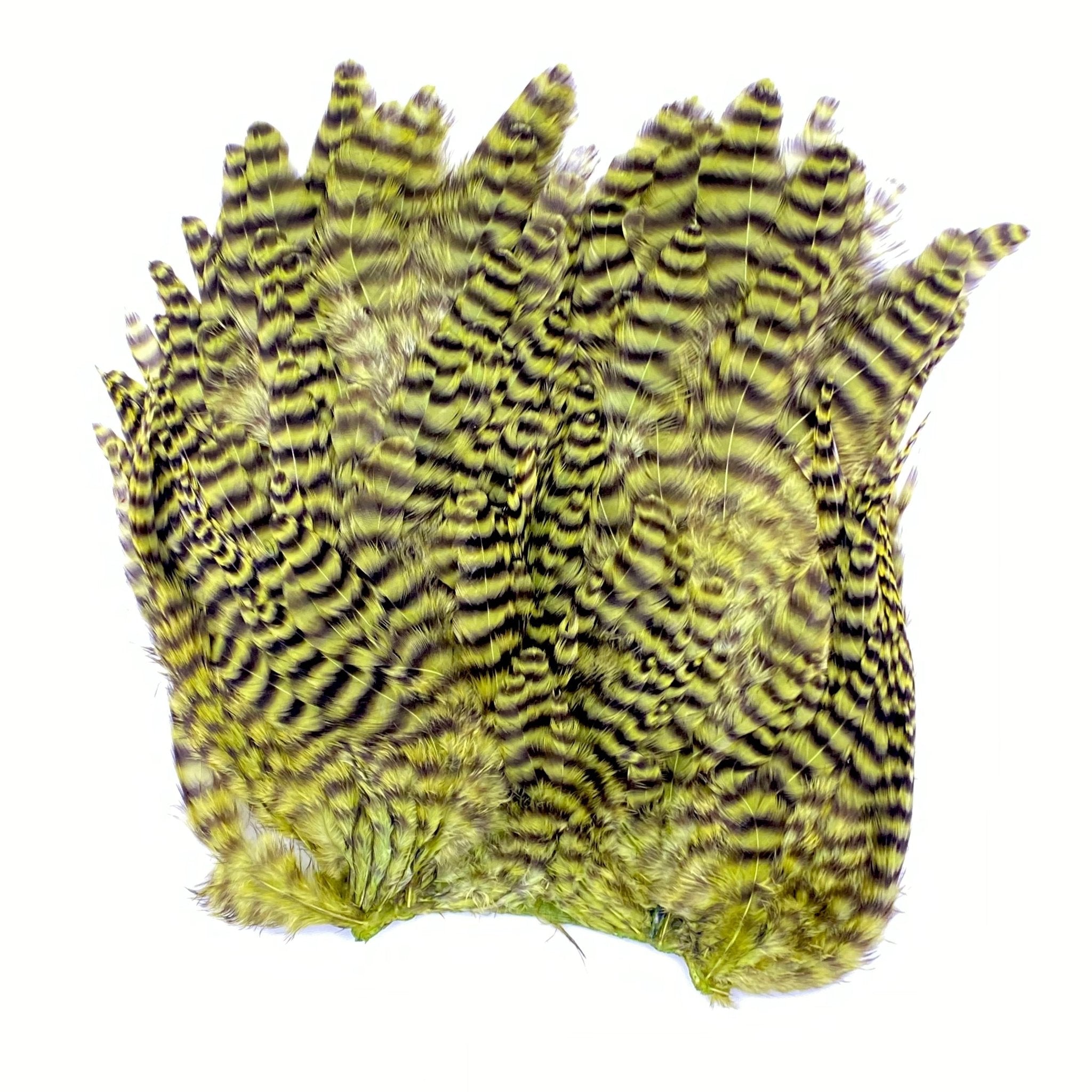 Whiting Bugger Hackle Patch - Hackle - Fly Fish Food