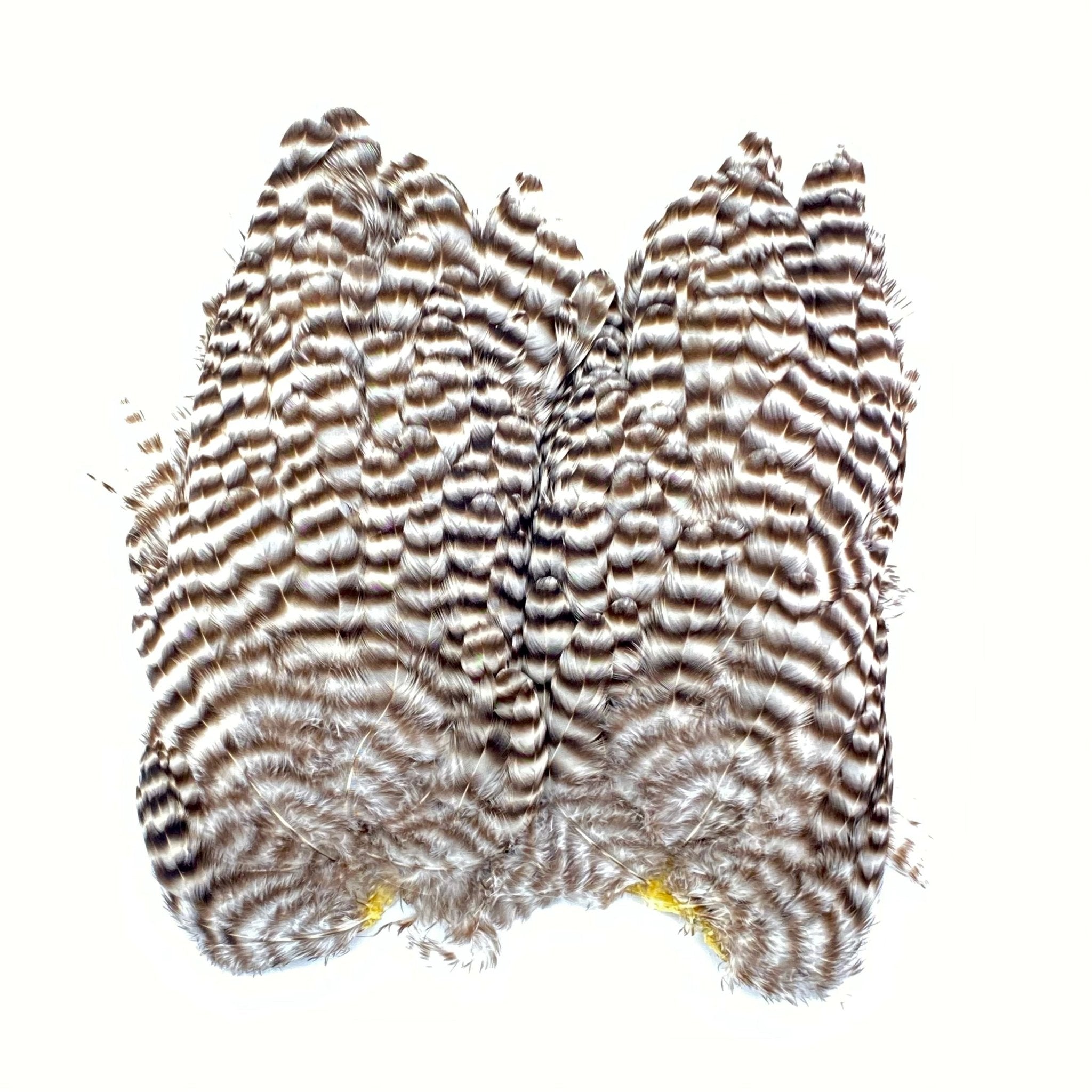 Whiting Bugger Hackle Patch - Hackle - Fly Fish Food