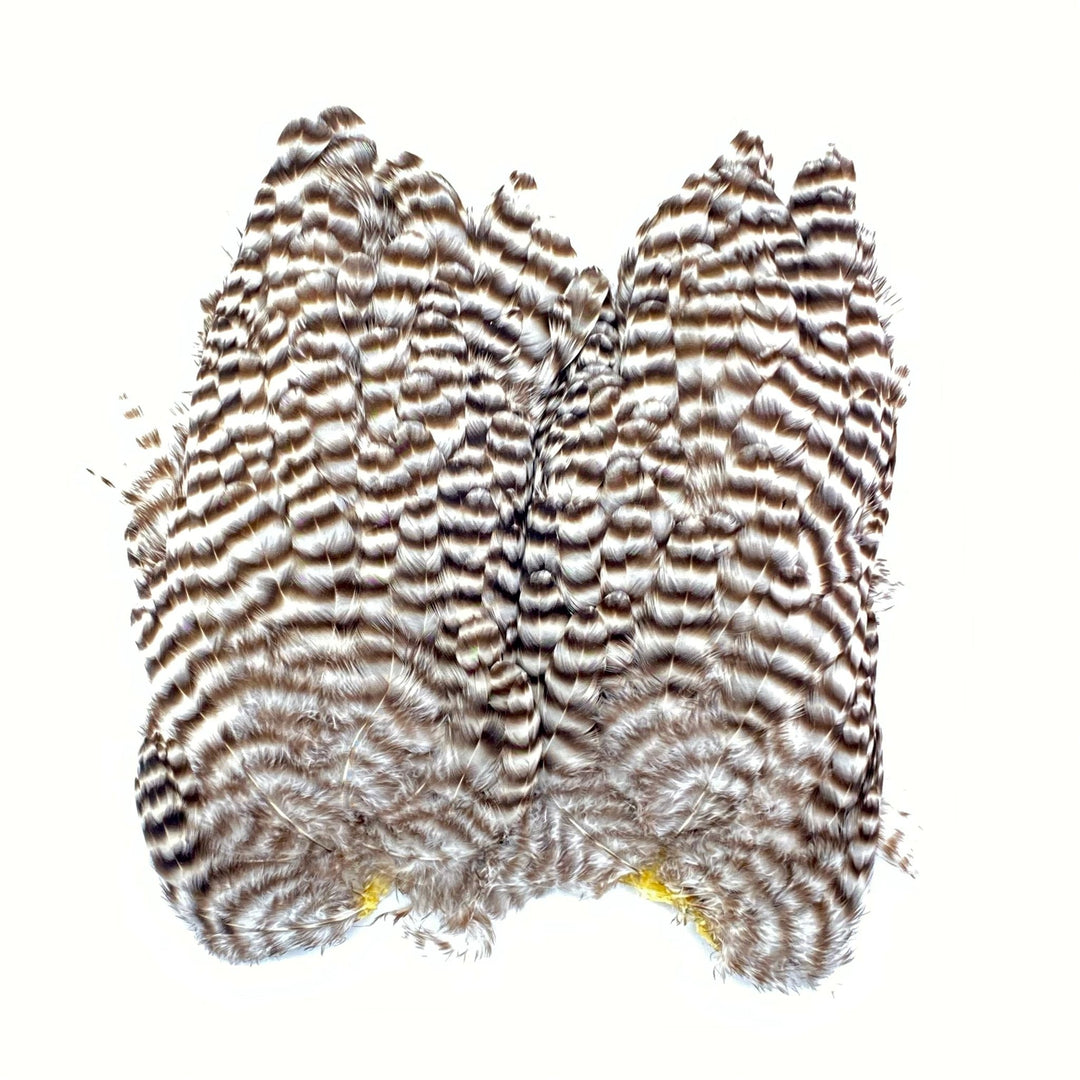 Whiting Bugger Hackle Patch - Hackle - Fly Fish Food