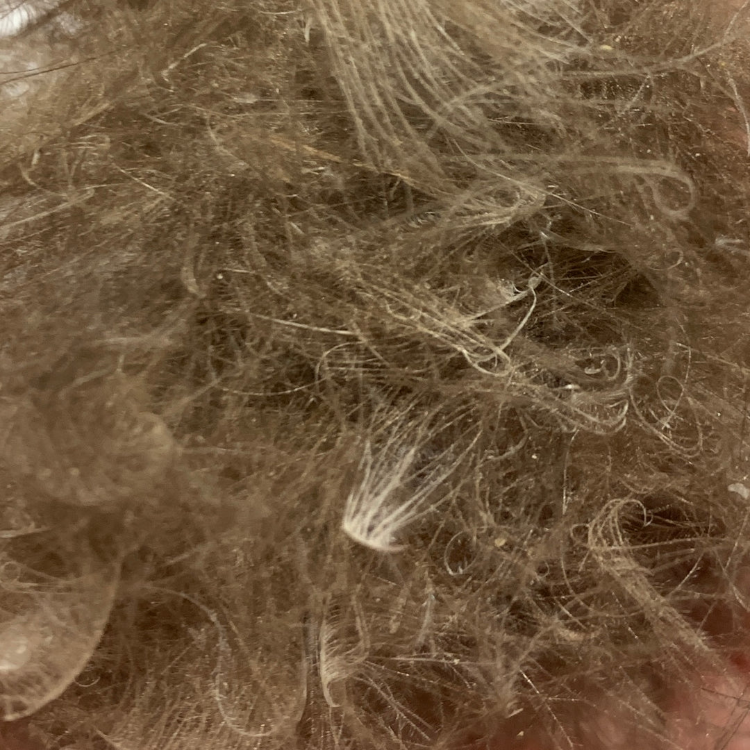Swiss CDC Dubbing - Feathers &amp; Marabou - Fly Fish Food