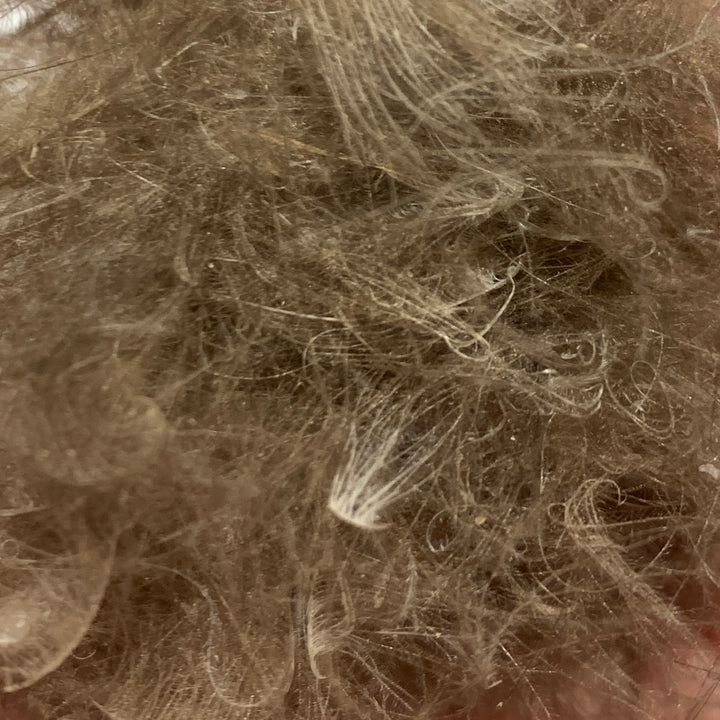 Swiss CDC Dubbing - Feathers &amp; Marabou - Fly Fish Food