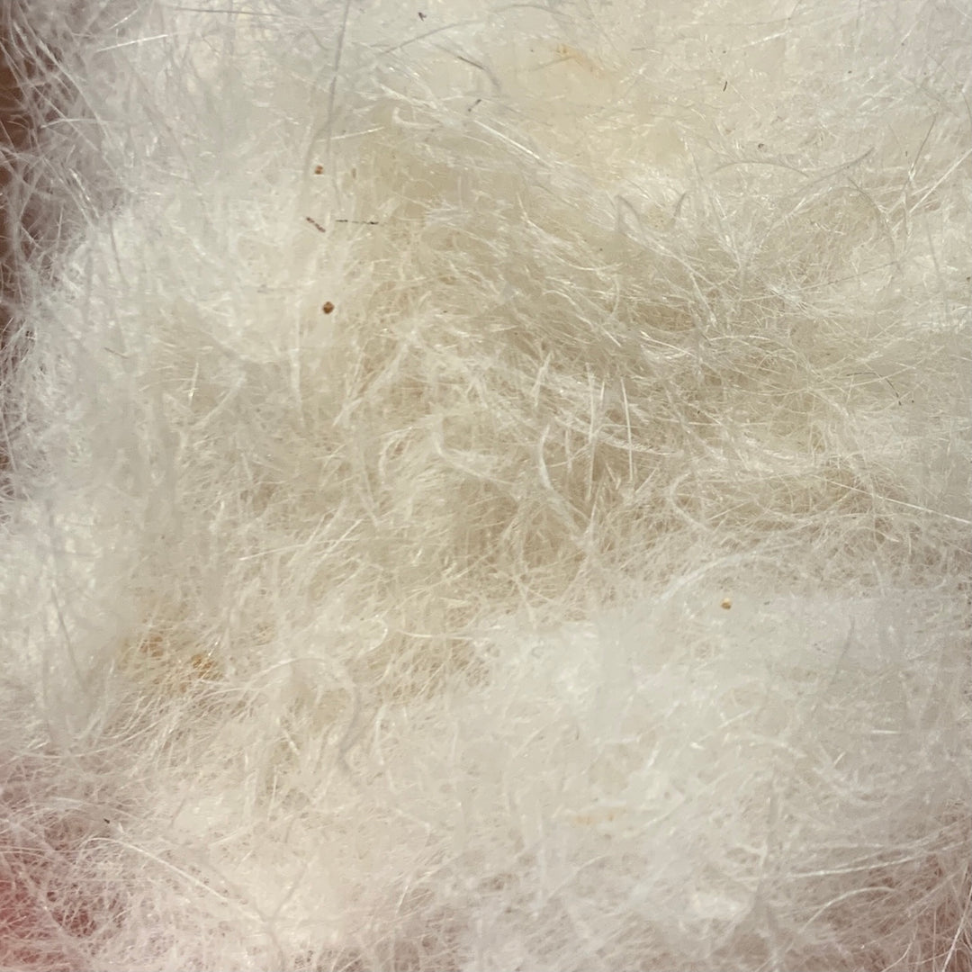 Swiss CDC Dubbing - Feathers &amp; Marabou - Fly Fish Food
