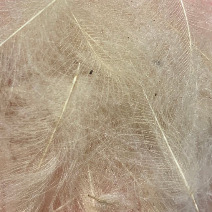 Swiss CDC 100% Natural Dyed Grade - Feathers &amp; Marabou - Fly Fish Food