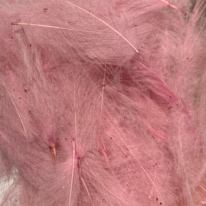 Swiss CDC 100% Natural Dyed Grade - Feathers &amp; Marabou - Fly Fish Food