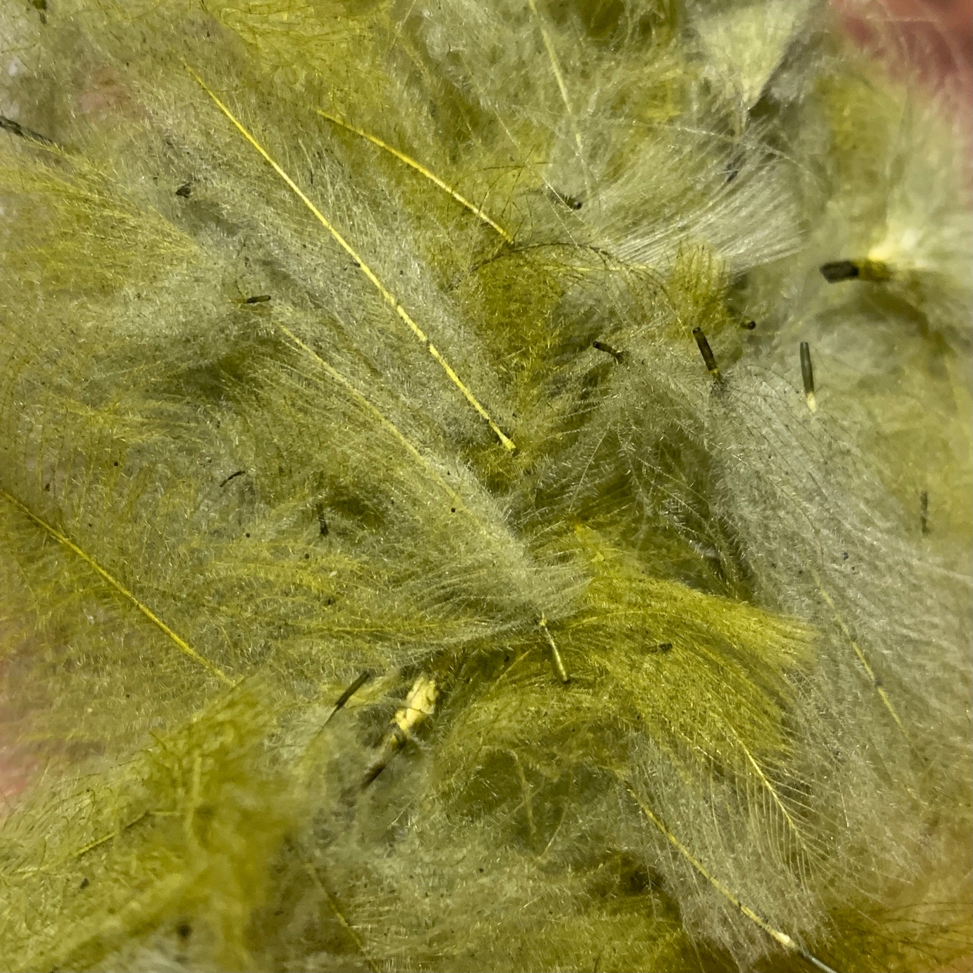Swiss CDC 100% Natural Dyed Grade - Feathers & Marabou - Fly Fish Food