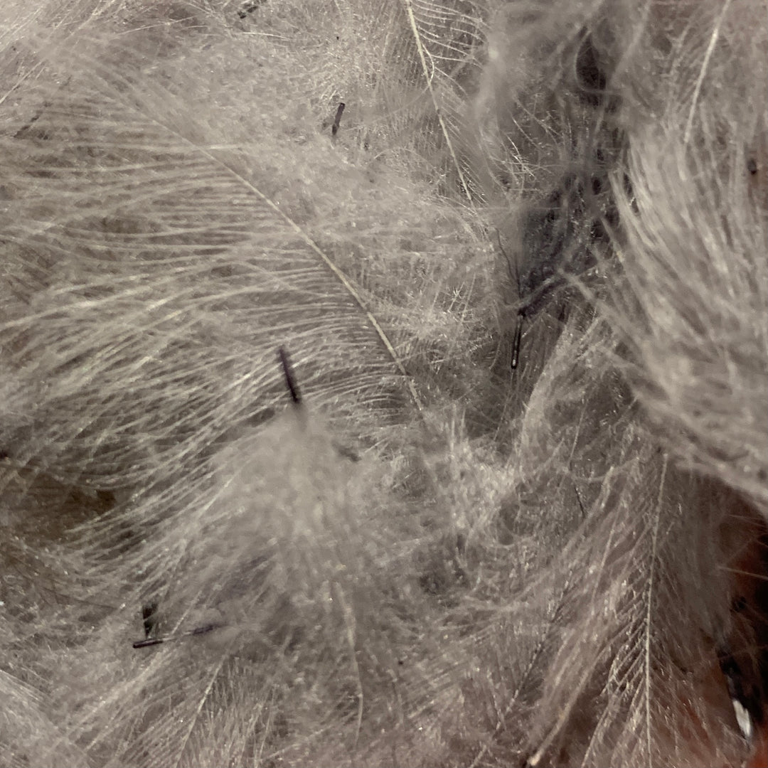 Swiss CDC 100% Natural Dyed Grade - Feathers &amp; Marabou - Fly Fish Food