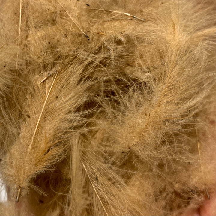 Swiss CDC 100% Natural Dyed Grade - Feathers &amp; Marabou - Fly Fish Food