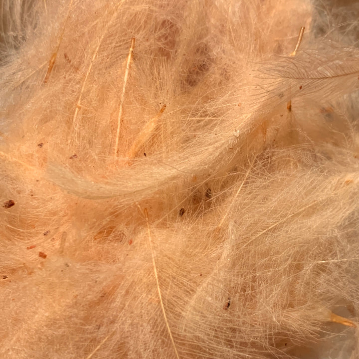 Swiss CDC 100% Natural Dyed Grade - Feathers &amp; Marabou - Fly Fish Food