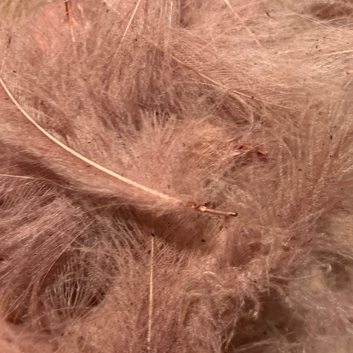 Swiss CDC 100% Natural Dyed Grade - Feathers &amp; Marabou - Fly Fish Food