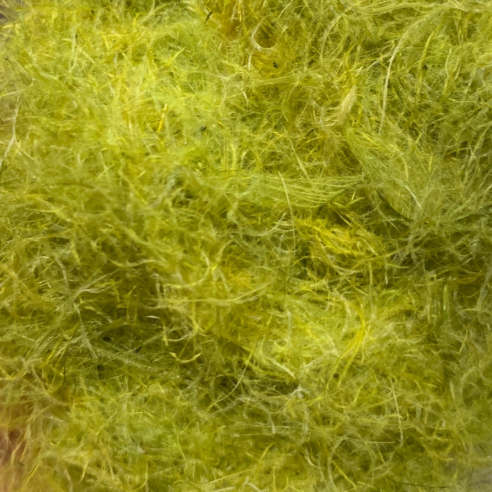 TroutHunter CDC Dubbing - Dubbing - Fly Fish Food