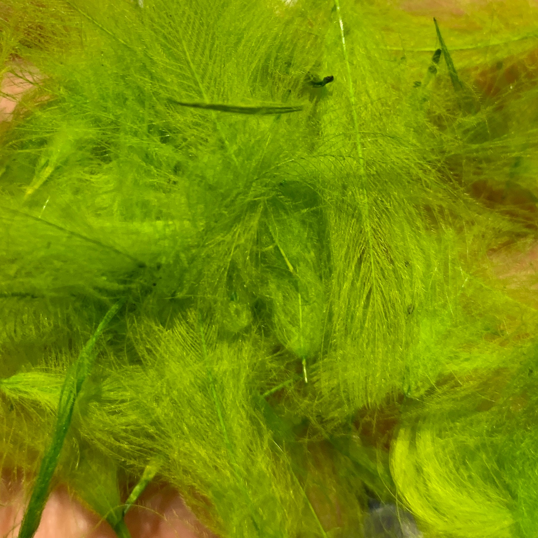 TroutHunter Premium CDC - Feathers & Marabou - Fly Fish Food