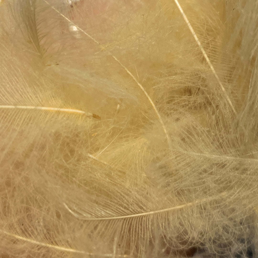 TroutHunter Premium CDC - Feathers &amp; Marabou - Fly Fish Food