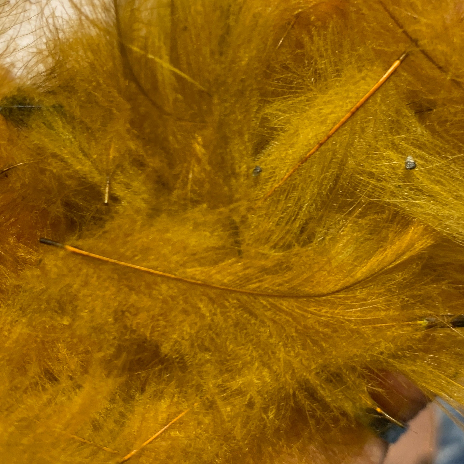 TroutHunter Premium CDC - Feathers & Marabou - Fly Fish Food