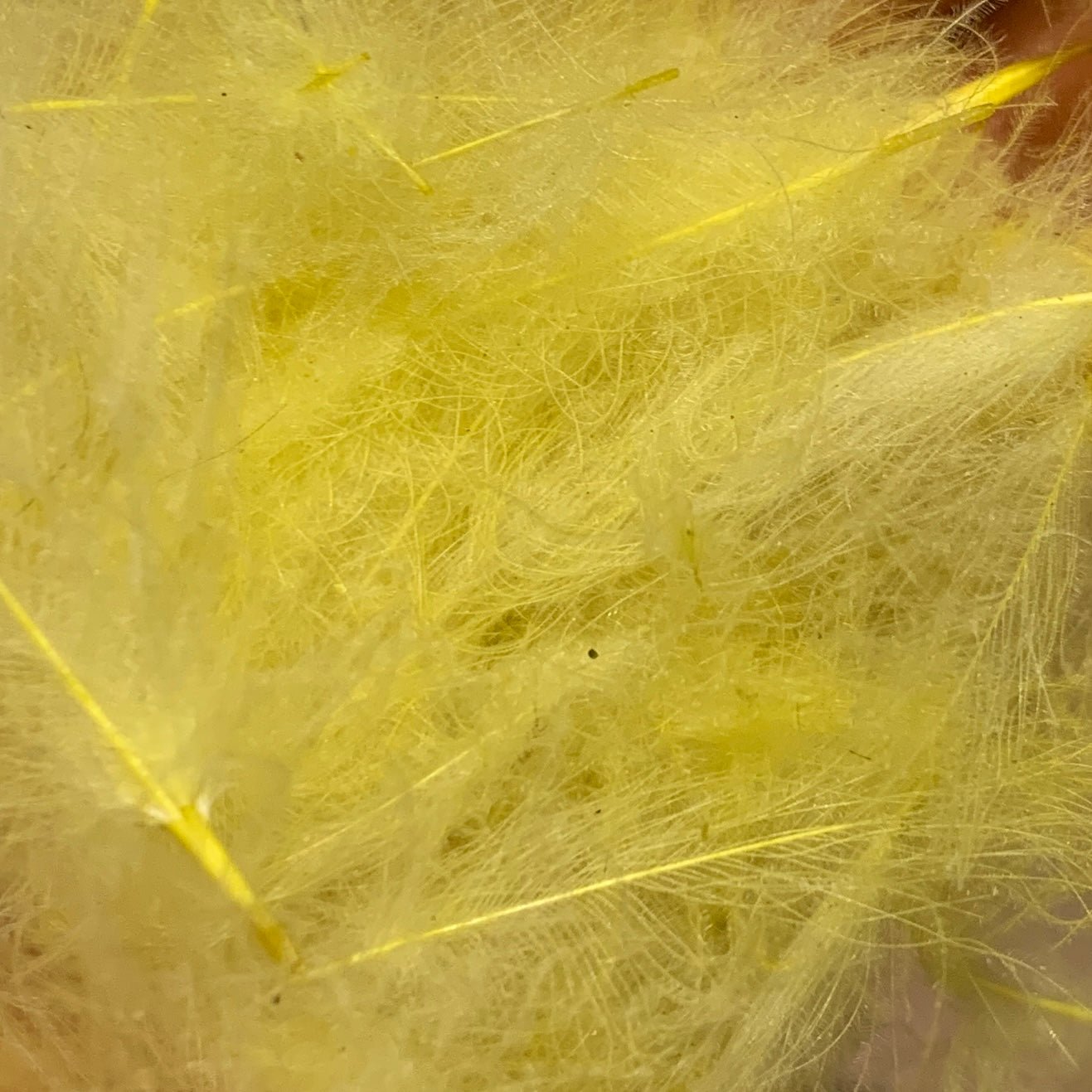 TroutHunter Premium CDC - Feathers & Marabou - Fly Fish Food