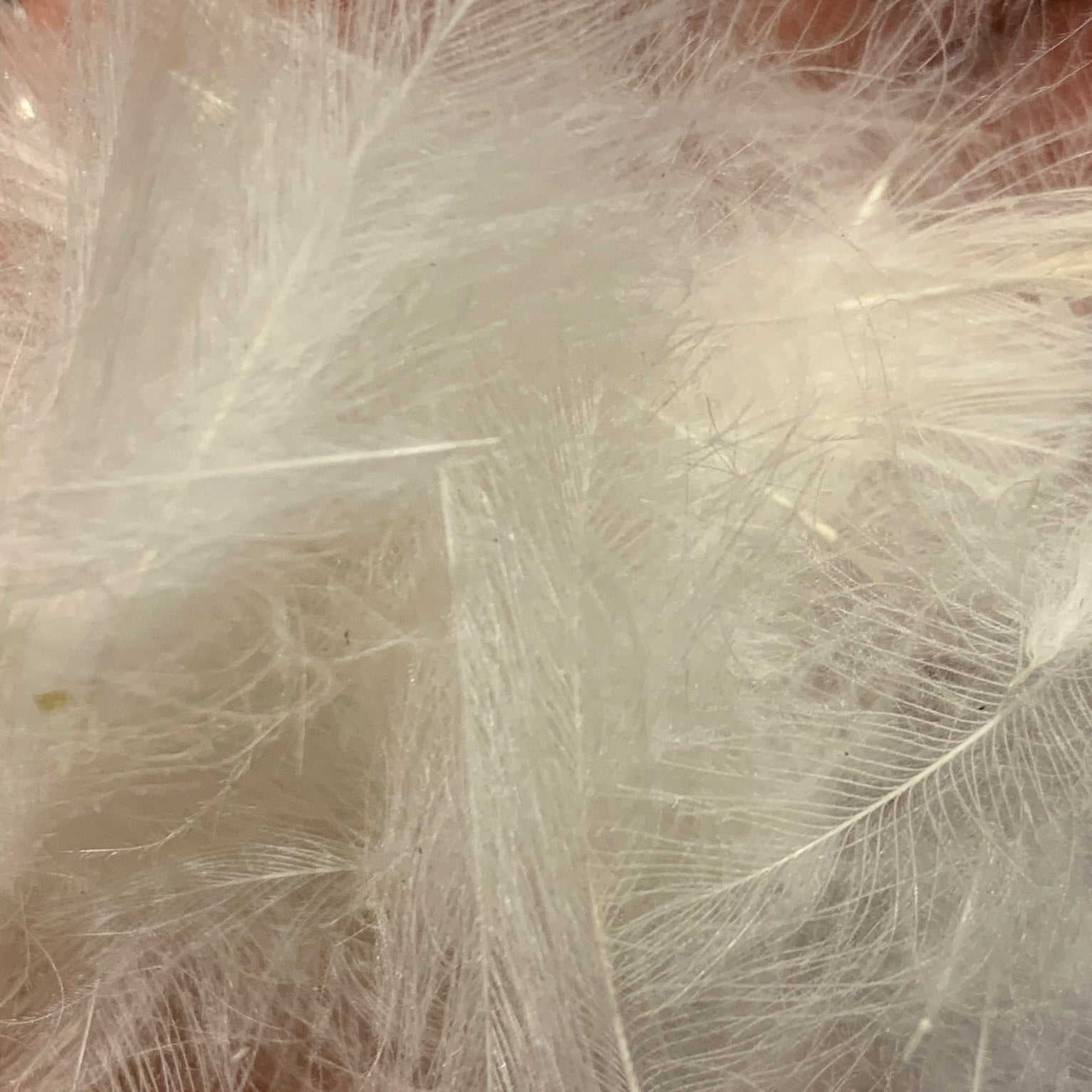 TroutHunter Premium CDC - Feathers & Marabou - Fly Fish Food