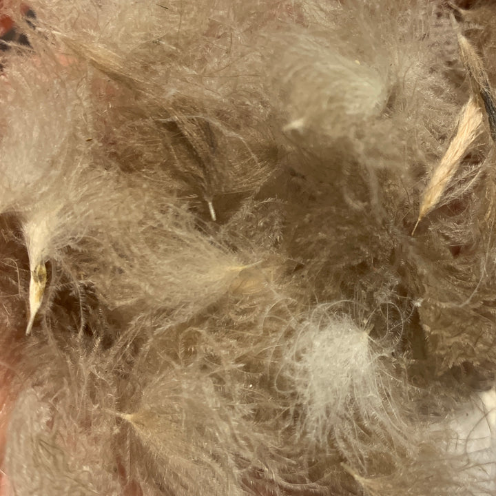 Swiss CDC Puffs - Feathers &amp; Marabou - Fly Fish Food