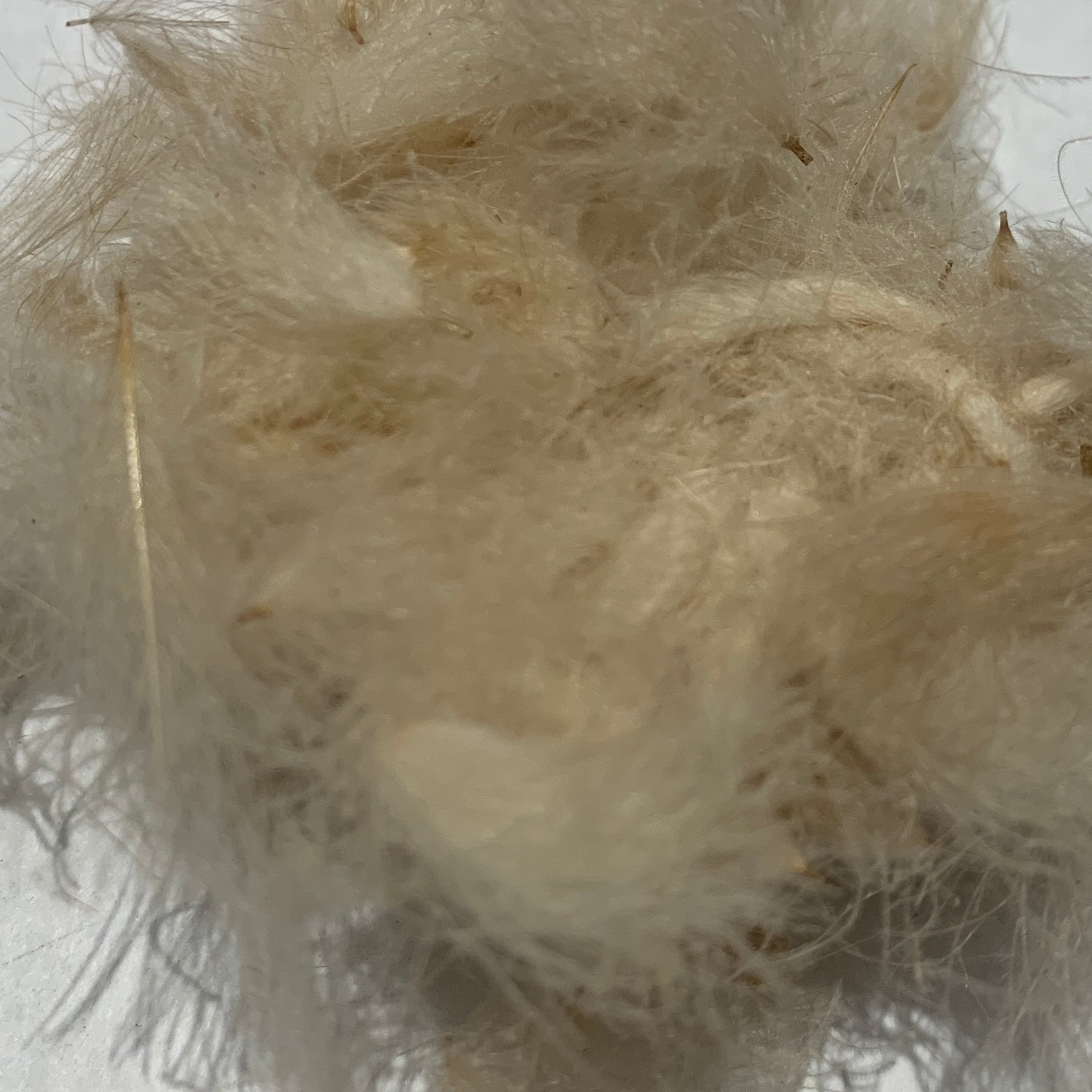 Swiss CDC Puffs - Feathers & Marabou - Fly Fish Food