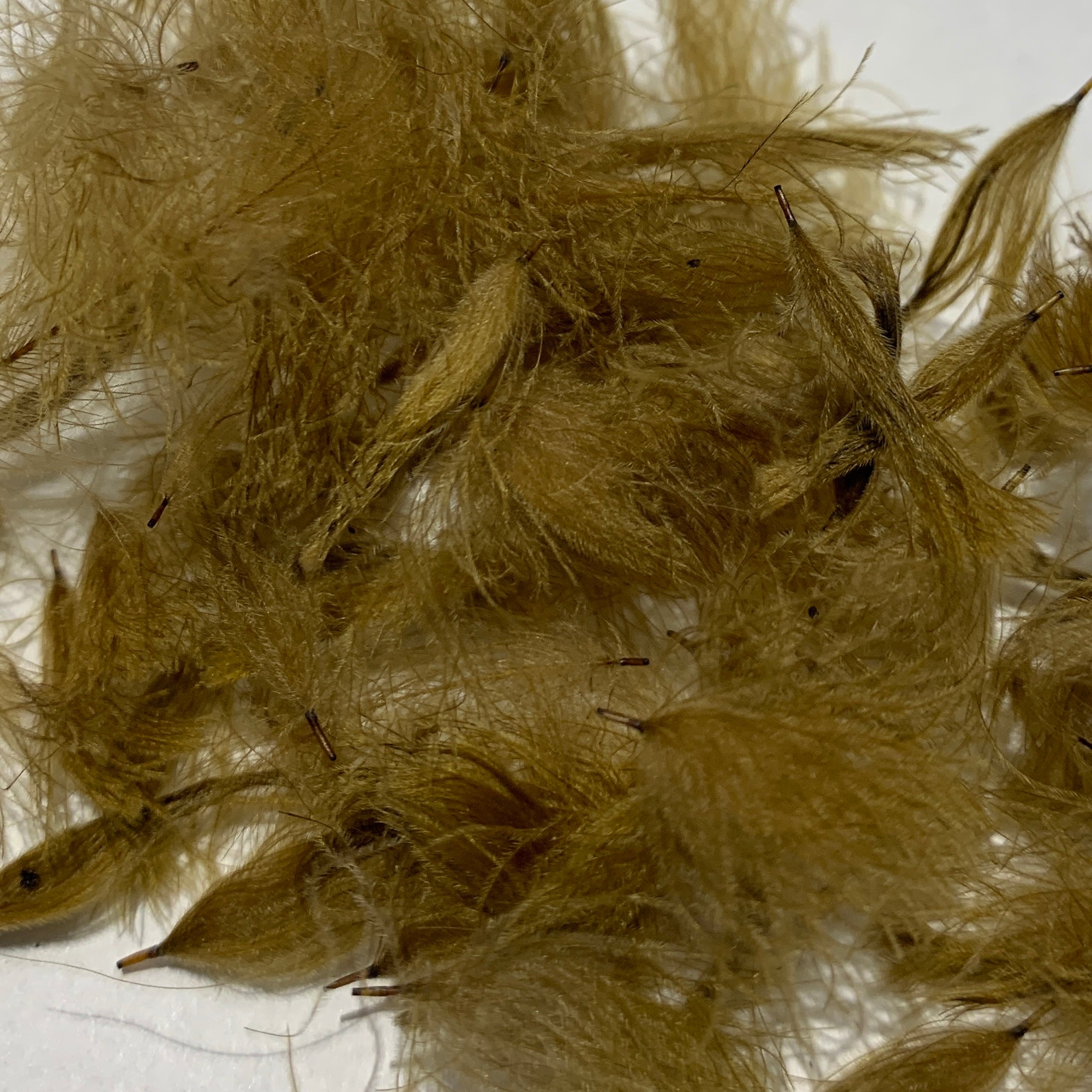 Swiss CDC Puffs - Feathers & Marabou - Fly Fish Food