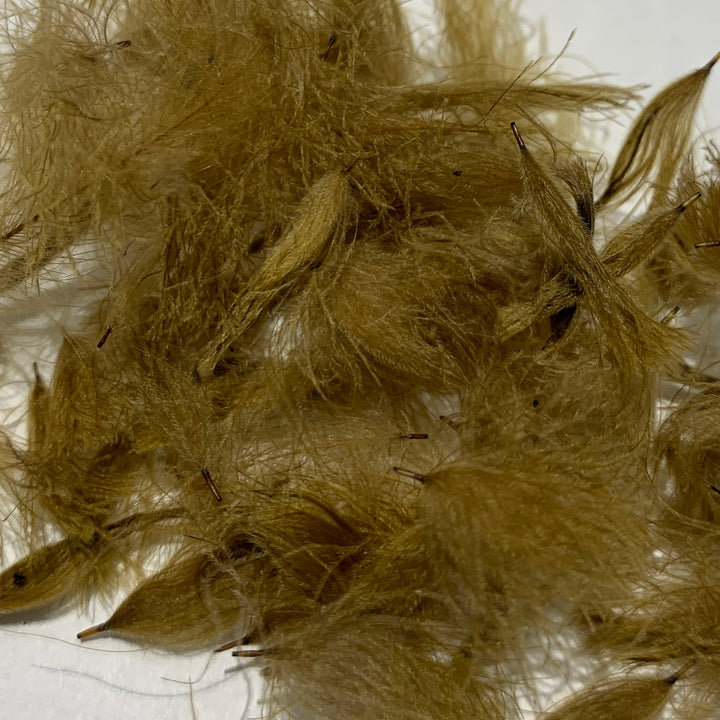 Swiss CDC Puffs - Feathers &amp; Marabou - Fly Fish Food