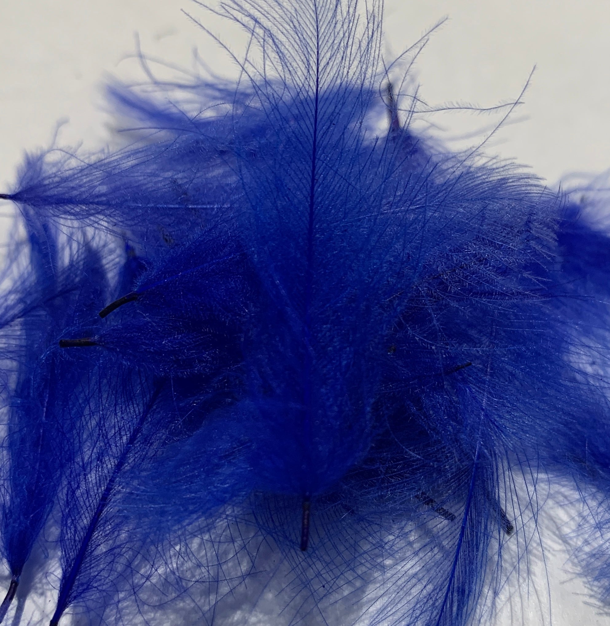 Swiss CDC Standard Grade - Feathers & Marabou - Fly Fish Food
