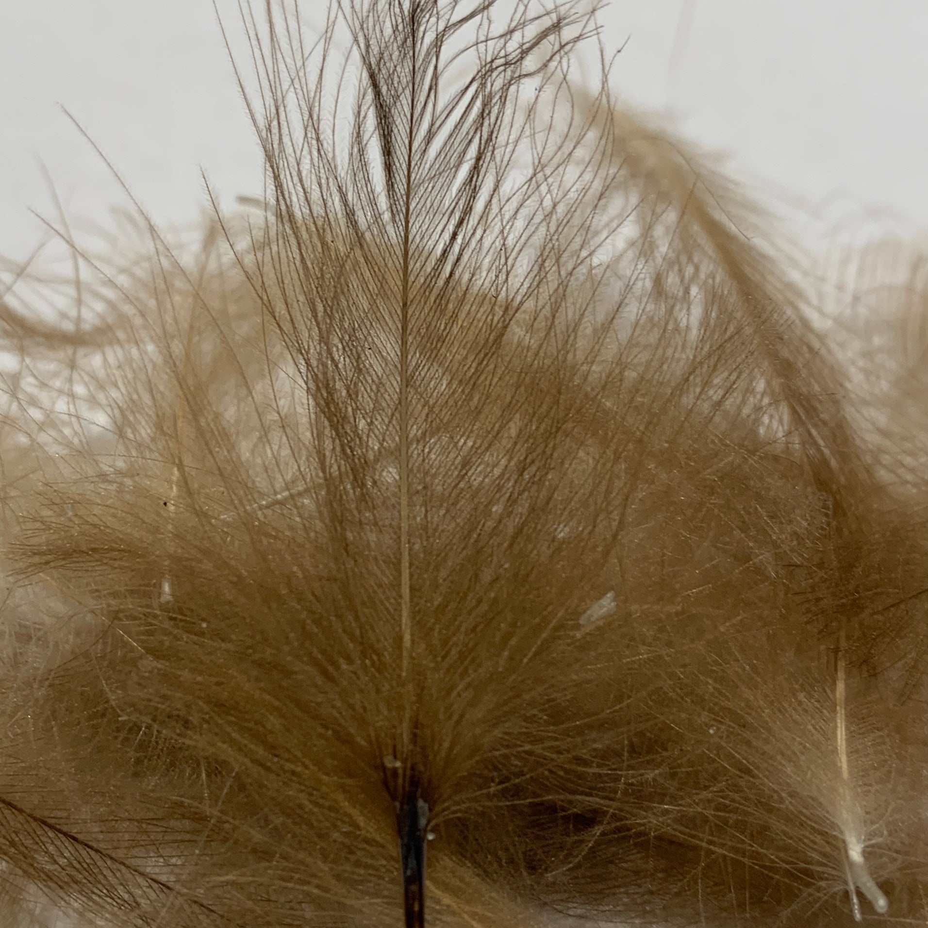 Swiss CDC Standard Grade - Feathers & Marabou - Fly Fish Food