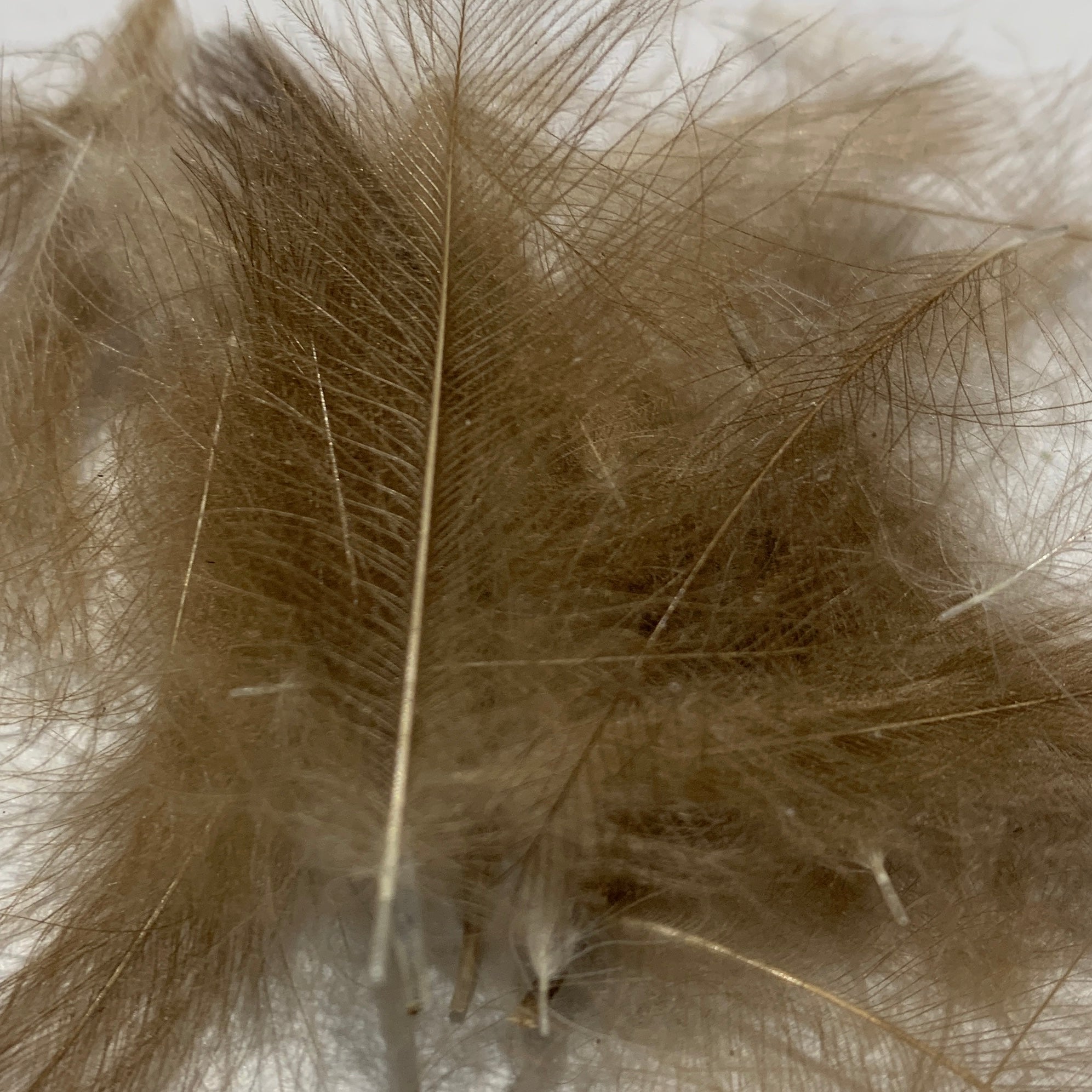 Swiss CDC Standard Grade - Feathers & Marabou - Fly Fish Food