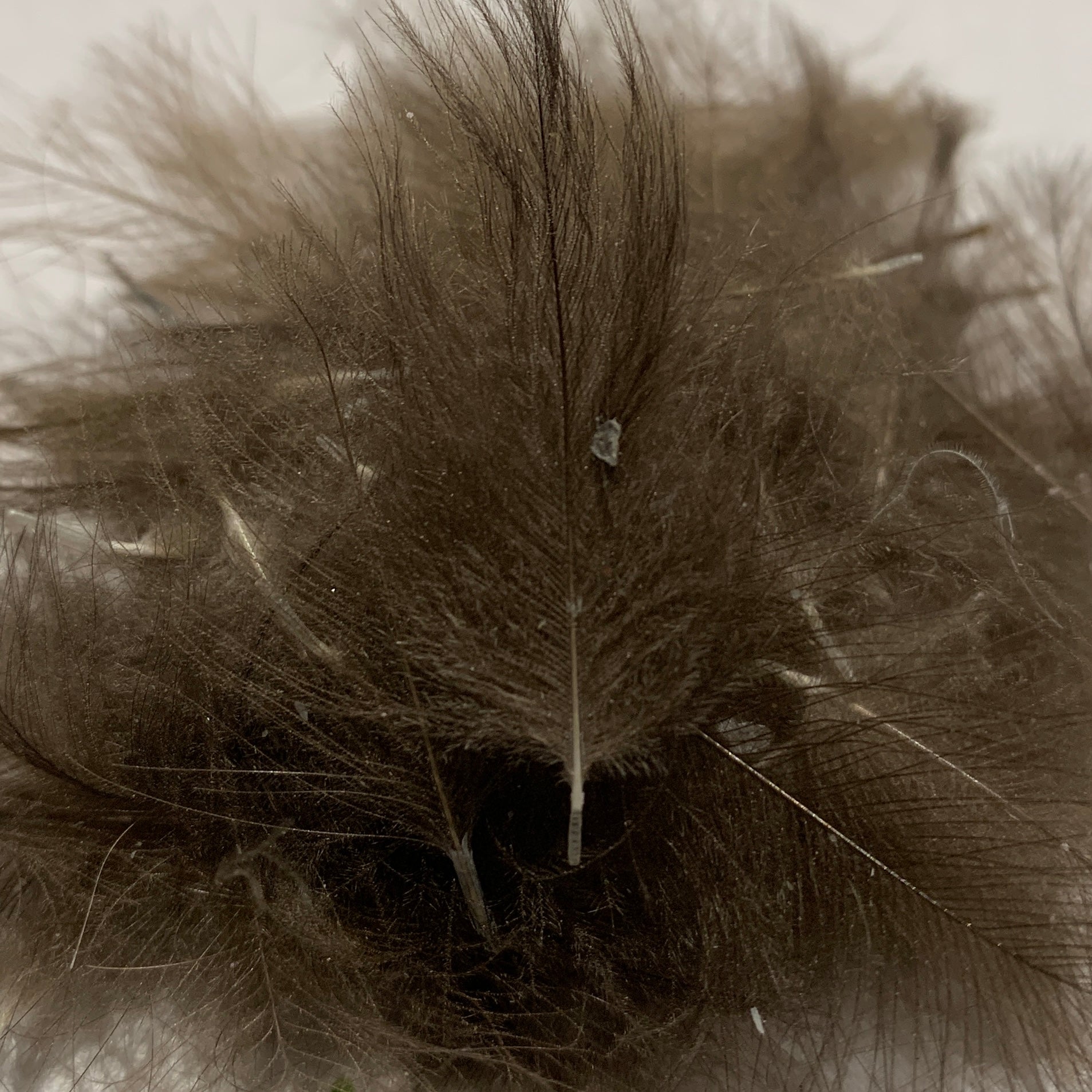 Swiss CDC Standard Grade - Feathers & Marabou - Fly Fish Food