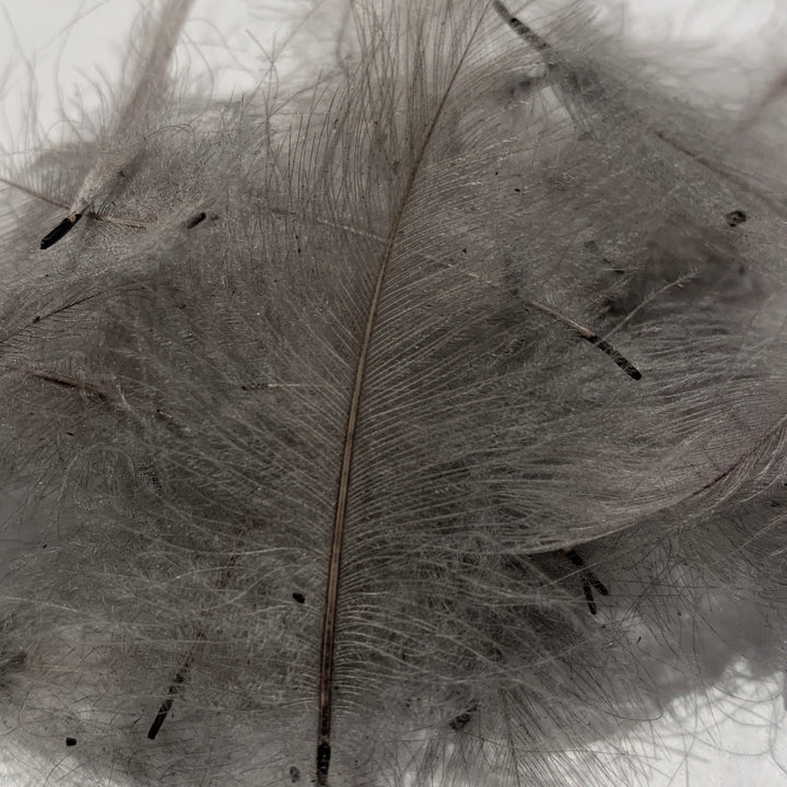Swiss CDC Standard Grade - Feathers &amp; Marabou - Fly Fish Food