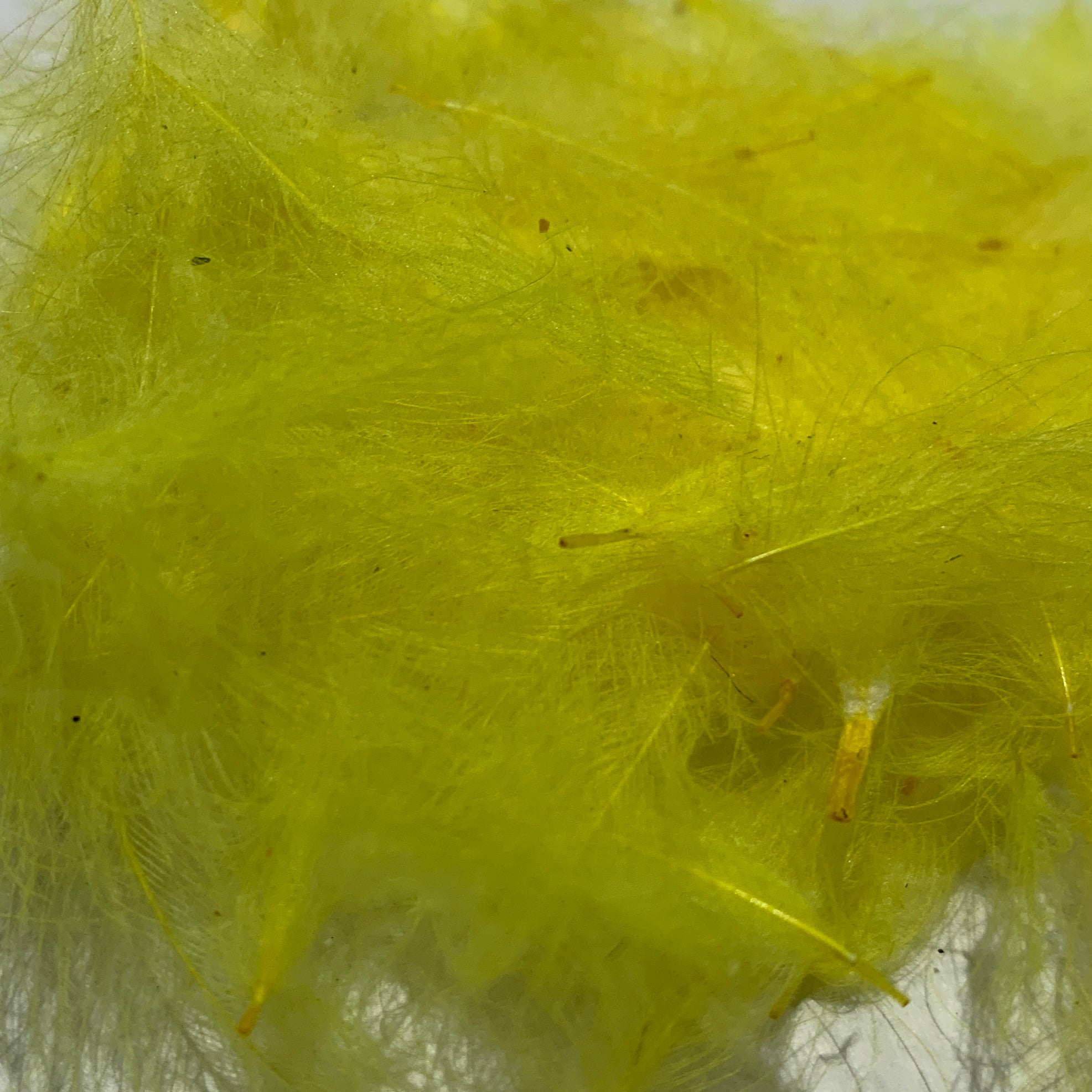 Swiss CDC Standard Grade - Feathers & Marabou - Fly Fish Food