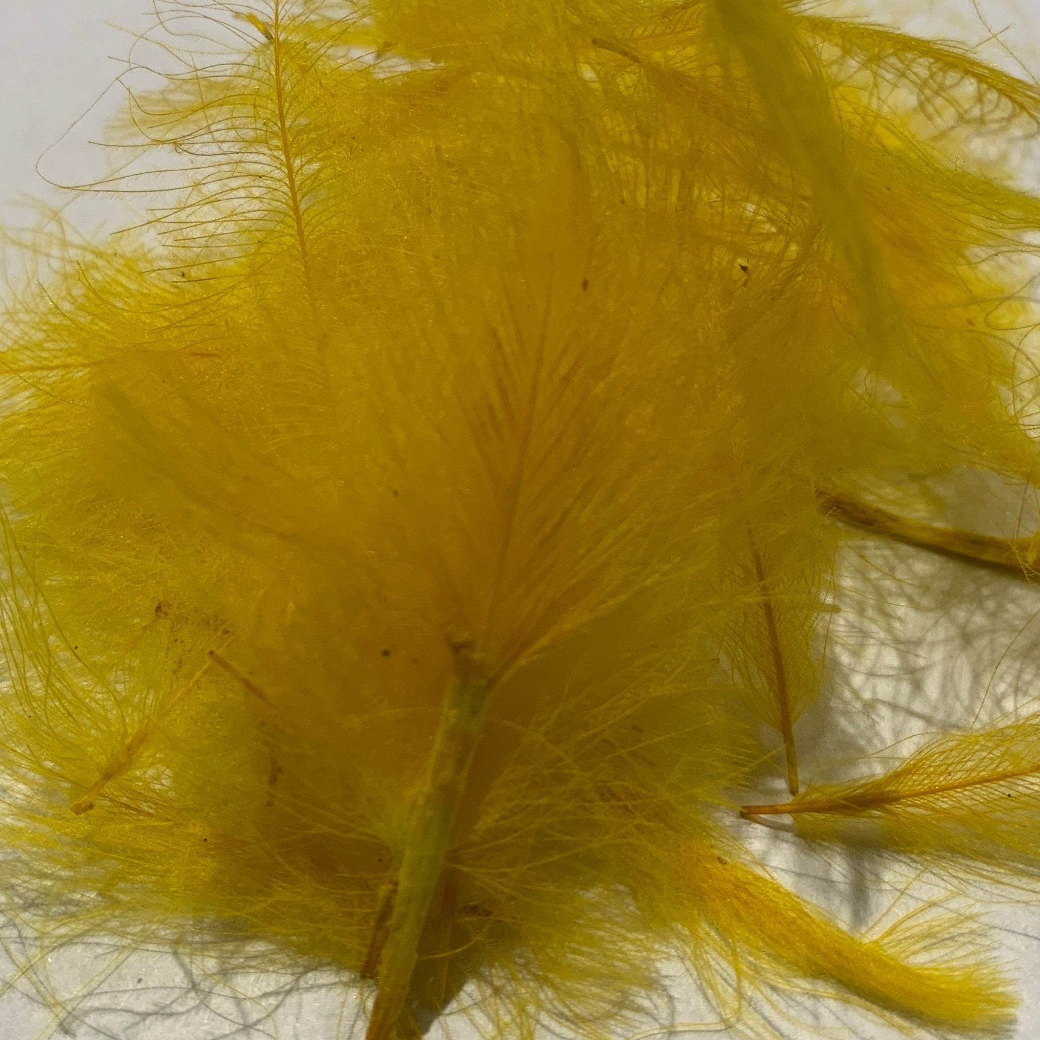 Swiss CDC Standard Grade - Feathers & Marabou - Fly Fish Food