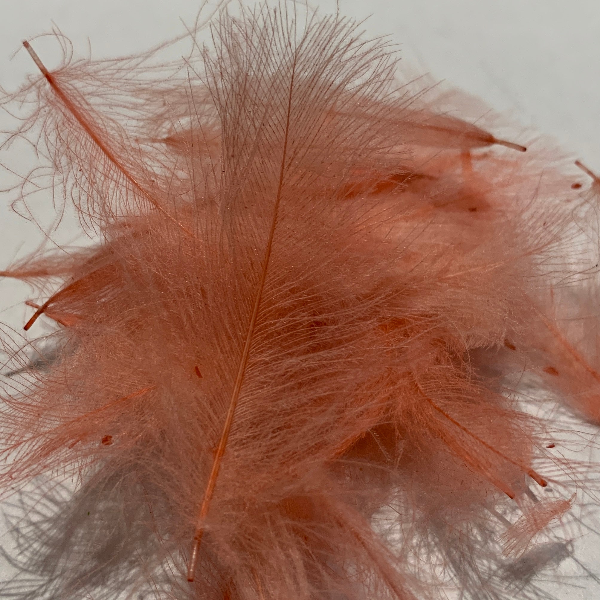 Swiss CDC Standard Grade - Feathers & Marabou - Fly Fish Food