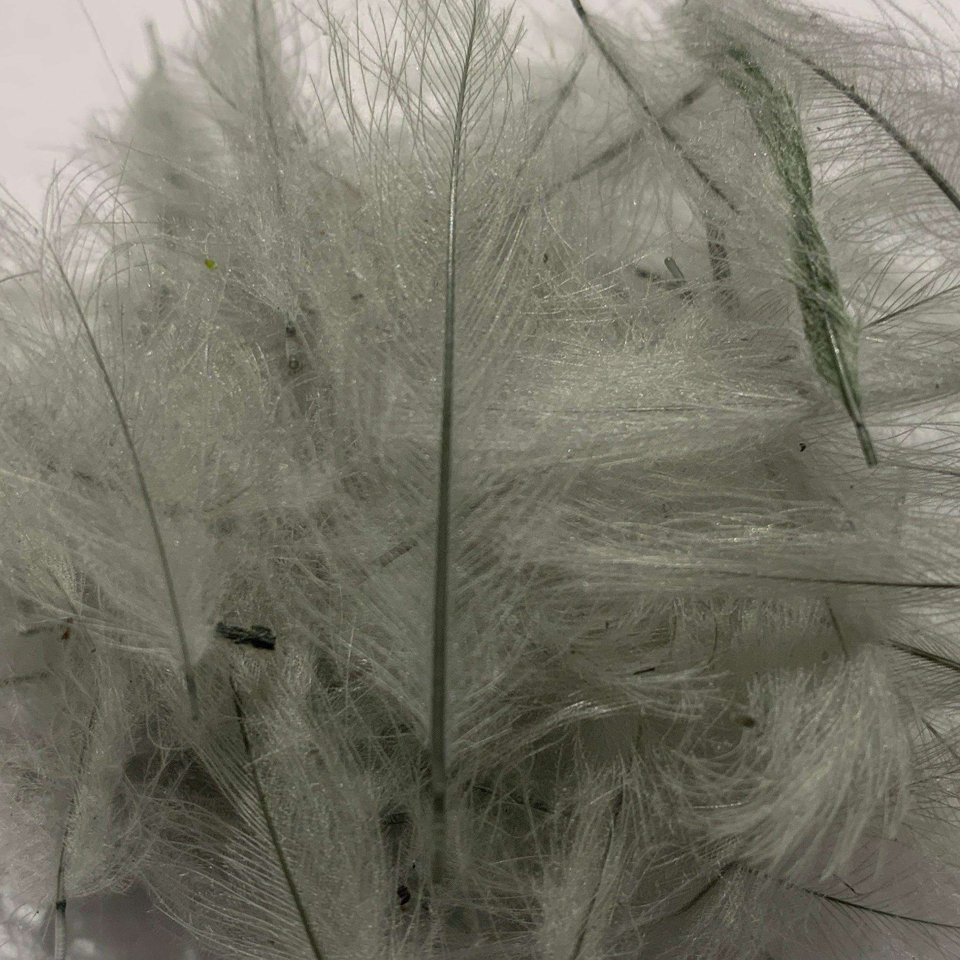 Swiss CDC Standard Grade - Feathers & Marabou - Fly Fish Food