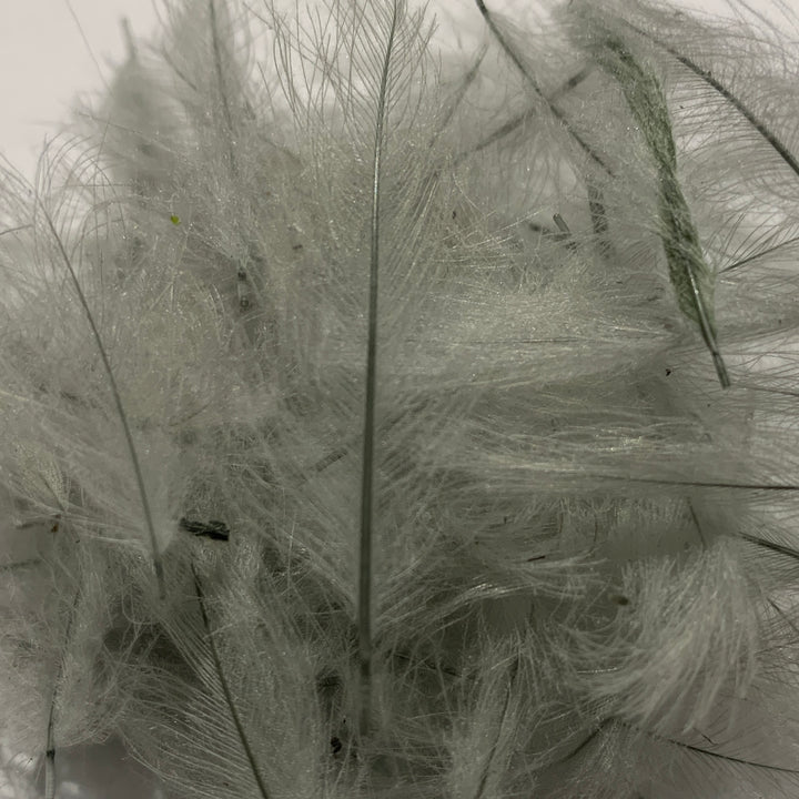 Swiss CDC Standard Grade - Feathers &amp; Marabou - Fly Fish Food