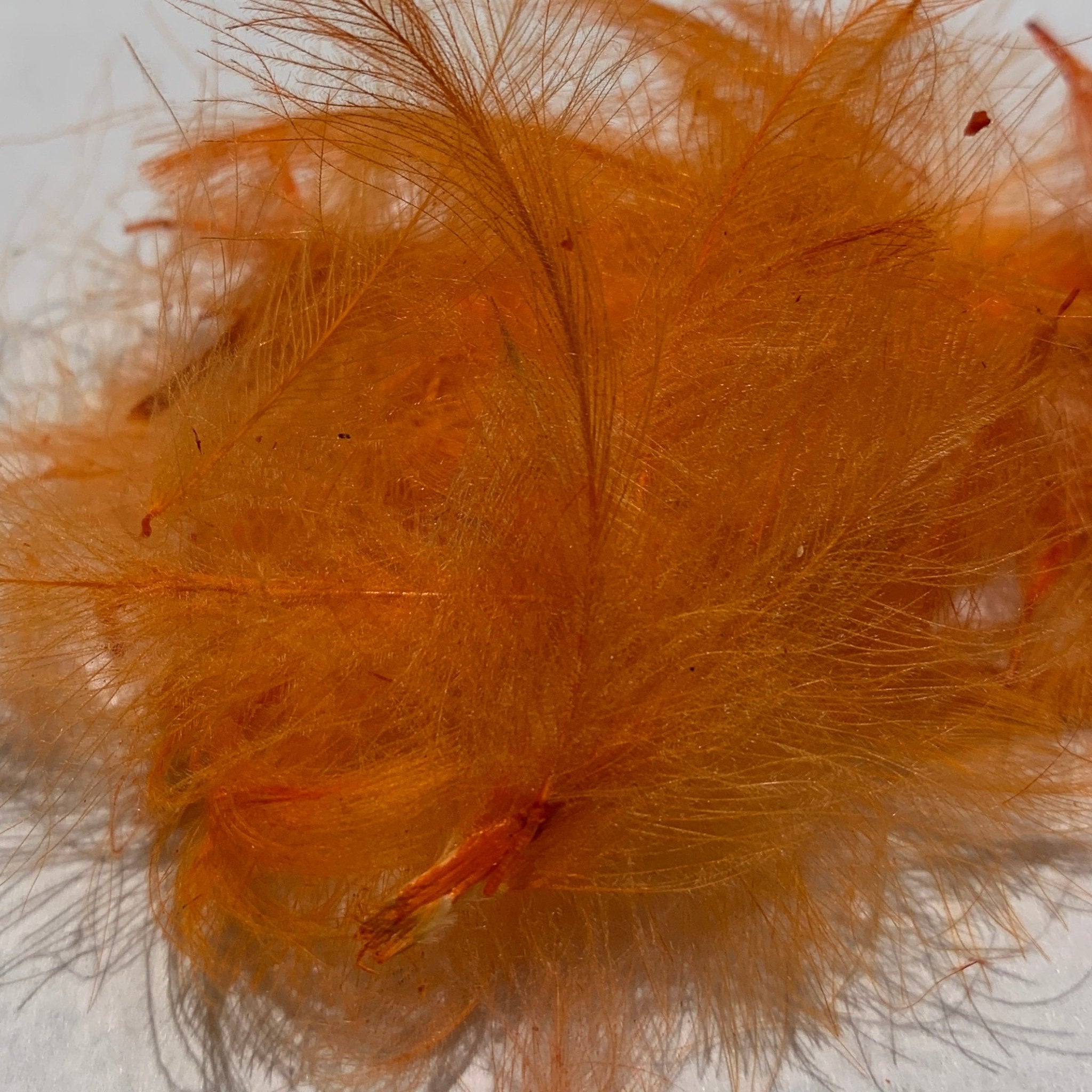Swiss CDC Standard Grade - Feathers & Marabou - Fly Fish Food