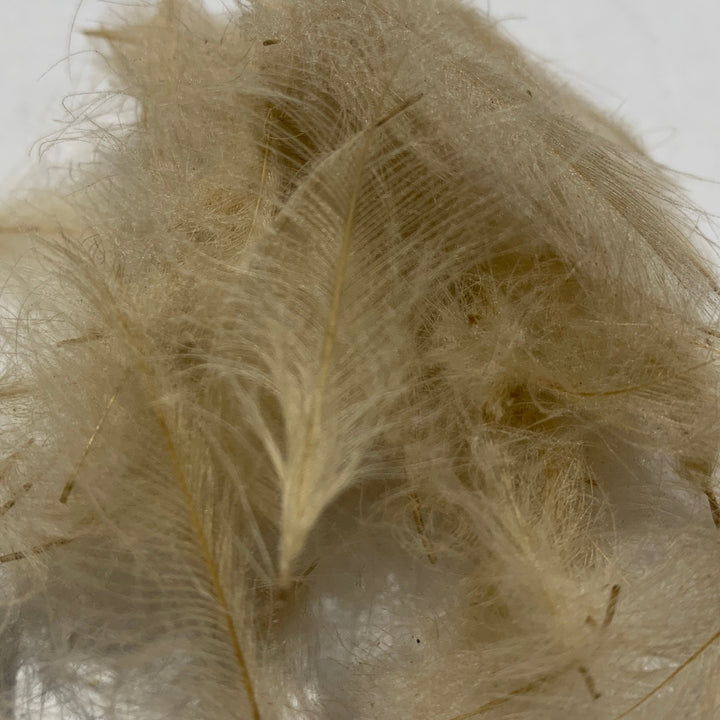Swiss CDC Standard Grade - Feathers &amp; Marabou - Fly Fish Food