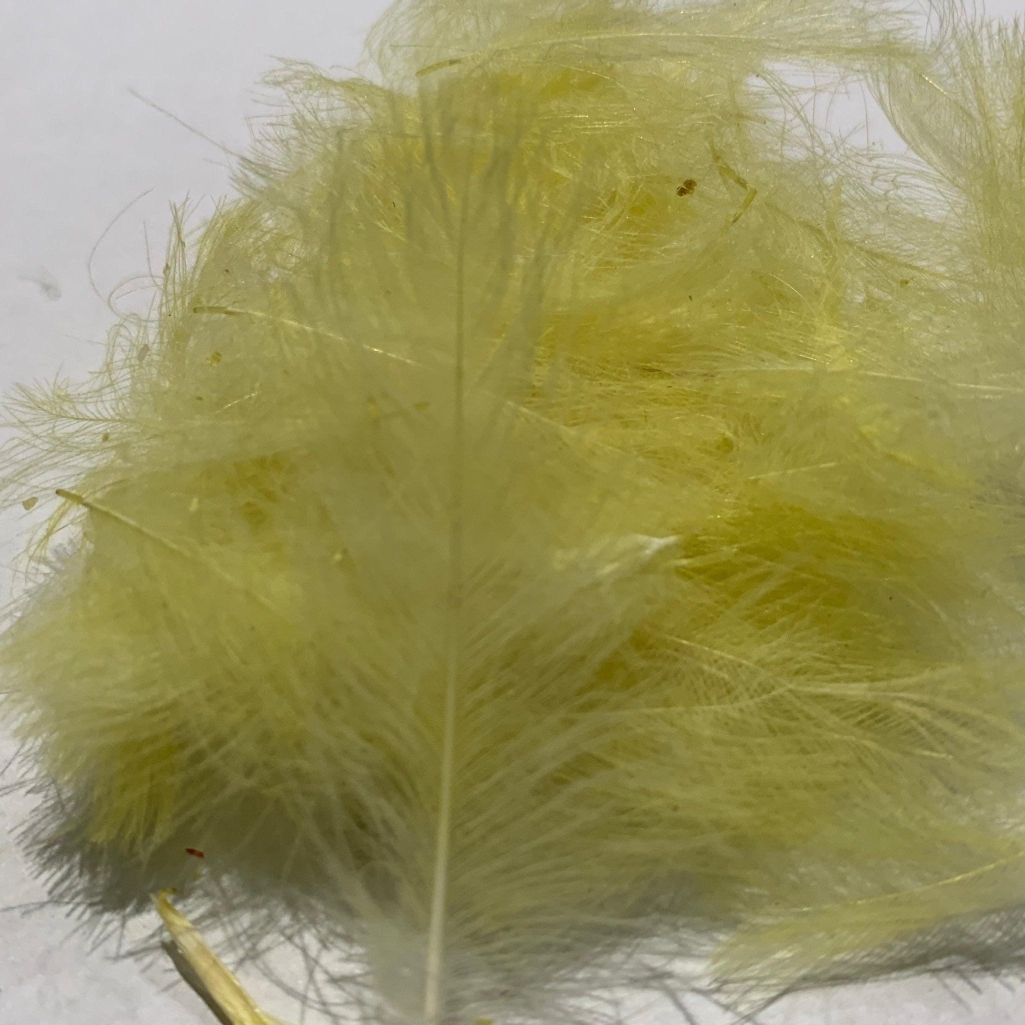Swiss CDC Standard Grade - Feathers & Marabou - Fly Fish Food