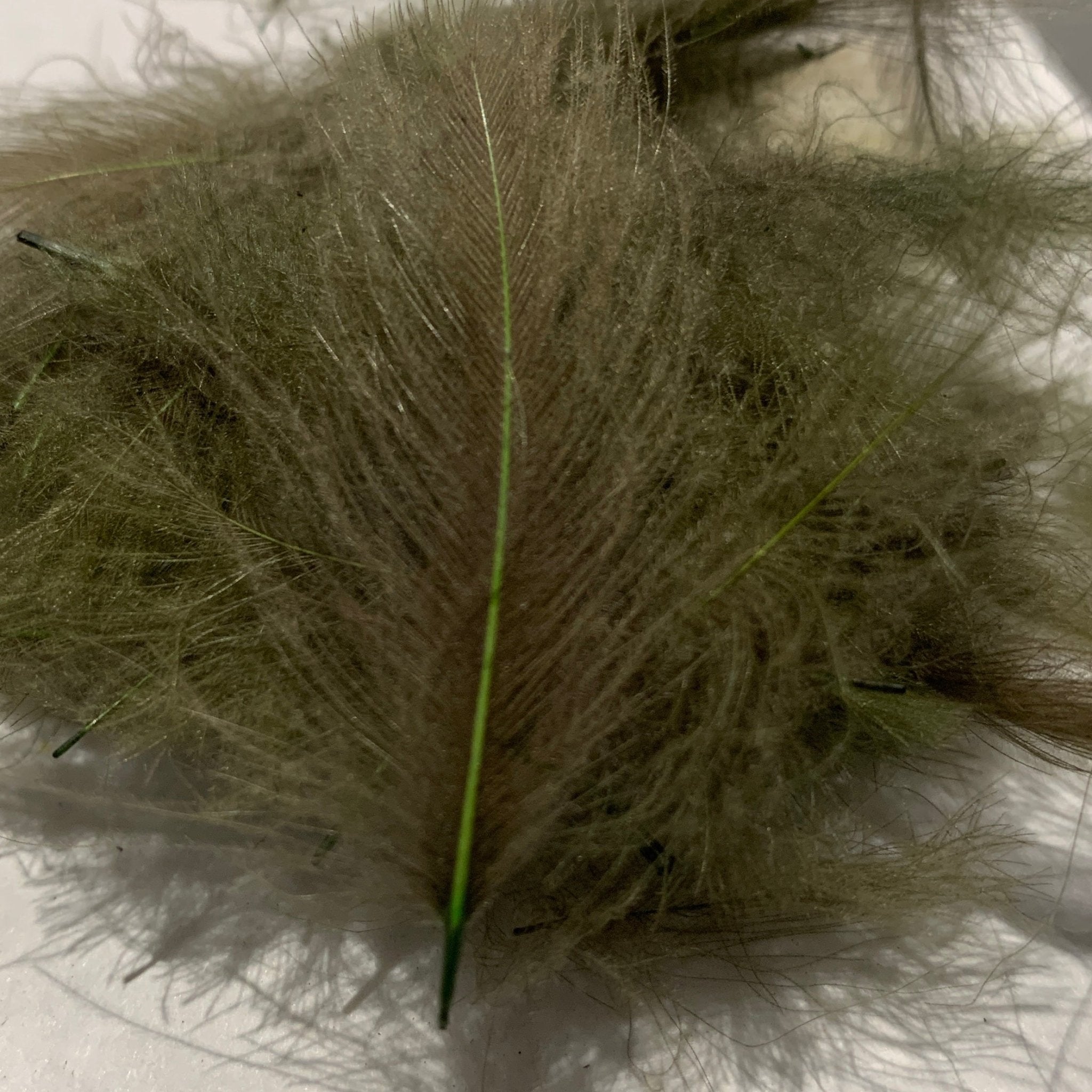 Swiss CDC Standard Grade - Feathers & Marabou - Fly Fish Food