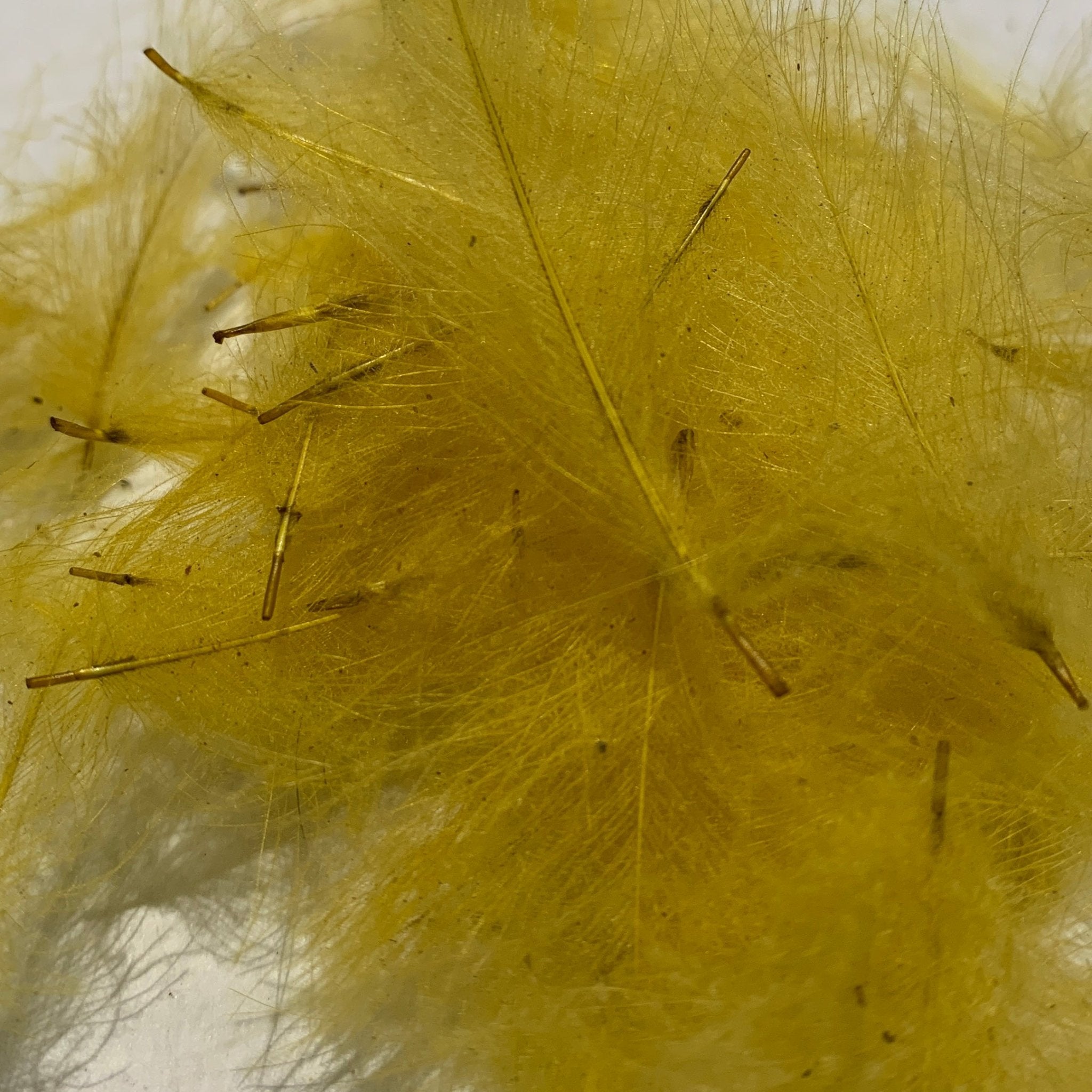 Swiss CDC Standard Grade - Feathers & Marabou - Fly Fish Food